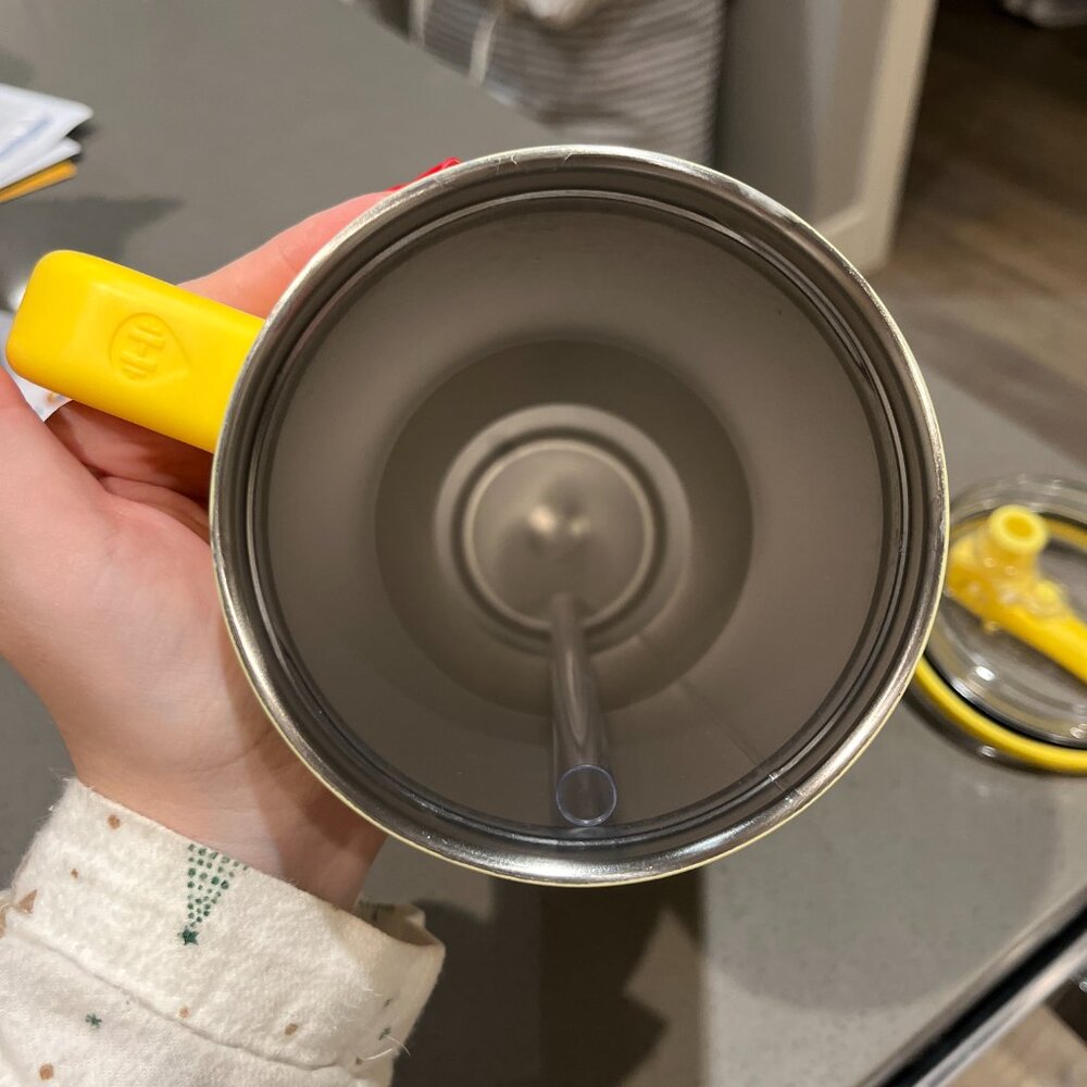 Hydrojug 40 oz 🍋 Main Squeeze 🍋 Lemon Fruit Tumbler - RETIRED SOLD OUT - Picture 4 of 6